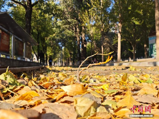 �S��54·��܉�܇(ch��)�ؾ�(xi��n)�h(hu��n)���������Σ���߅�L(f��ng)ò������(j��)�����S���~䁝M(m��n)·�������� ���z