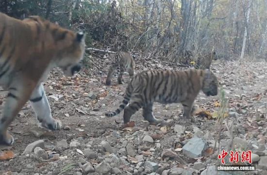 2025���ږ|���������ҹ��@�Ĕz���Ė|������(��ҕ��ý���D)