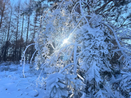 敦化市委宣傳部/供圖 敦化市委宣傳部/供圖